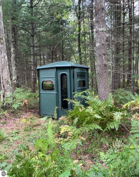Tiny photo for 8264 SE Military Road, Fife Lake, MI 49633 (MLS # 1937972)