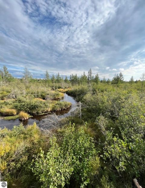 Tiny photo for 8264 SE Military Road, Fife Lake, MI 49633 (MLS # 1937972)