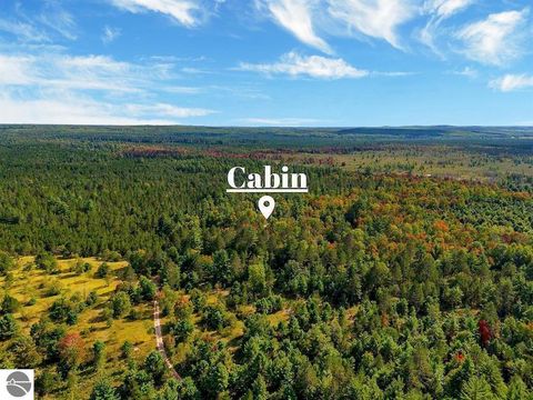 Tiny photo for 8264 SE Military Road, Fife Lake, MI 49633 (MLS # 1937972)