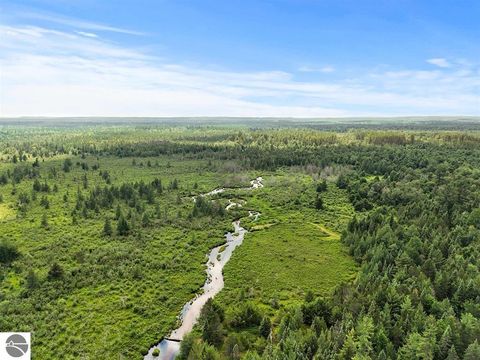 Tiny photo for 8264 SE Military Road, Fife Lake, MI 49633 (MLS # 1937972)