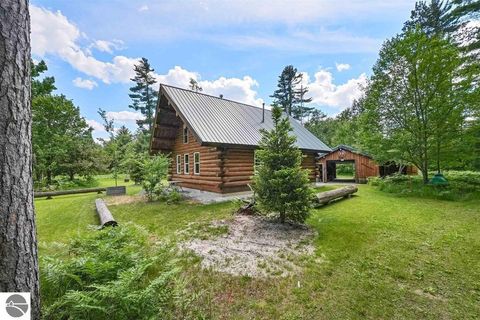 Tiny photo for 8264 SE Military Road, Fife Lake, MI 49633 (MLS # 1937972)