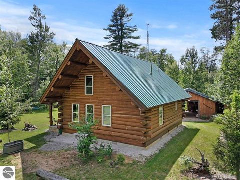 Tiny photo for 8264 SE Military Road, Fife Lake, MI 49633 (MLS # 1937972)