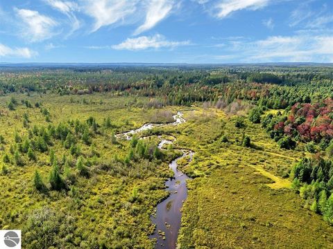 Tiny photo for 8264 SE Military Road, Fife Lake, MI 49633 (MLS # 1937972)