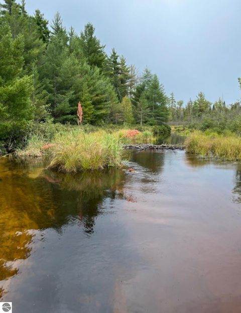 Tiny photo for 8264 SE Military Road, Fife Lake, MI 49633 (MLS # 1937972)