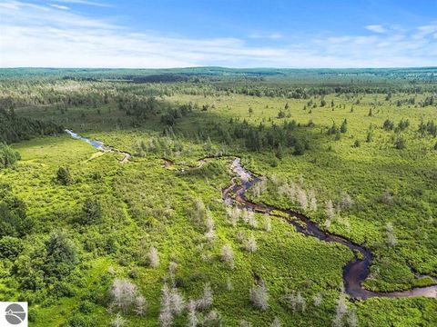 Tiny photo for 8264 SE Military Road, Fife Lake, MI 49633 (MLS # 1937972)