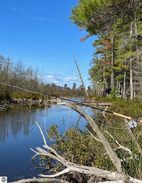 Tiny photo for 8264 SE Military Road, Fife Lake, MI 49633 (MLS # 1937972)