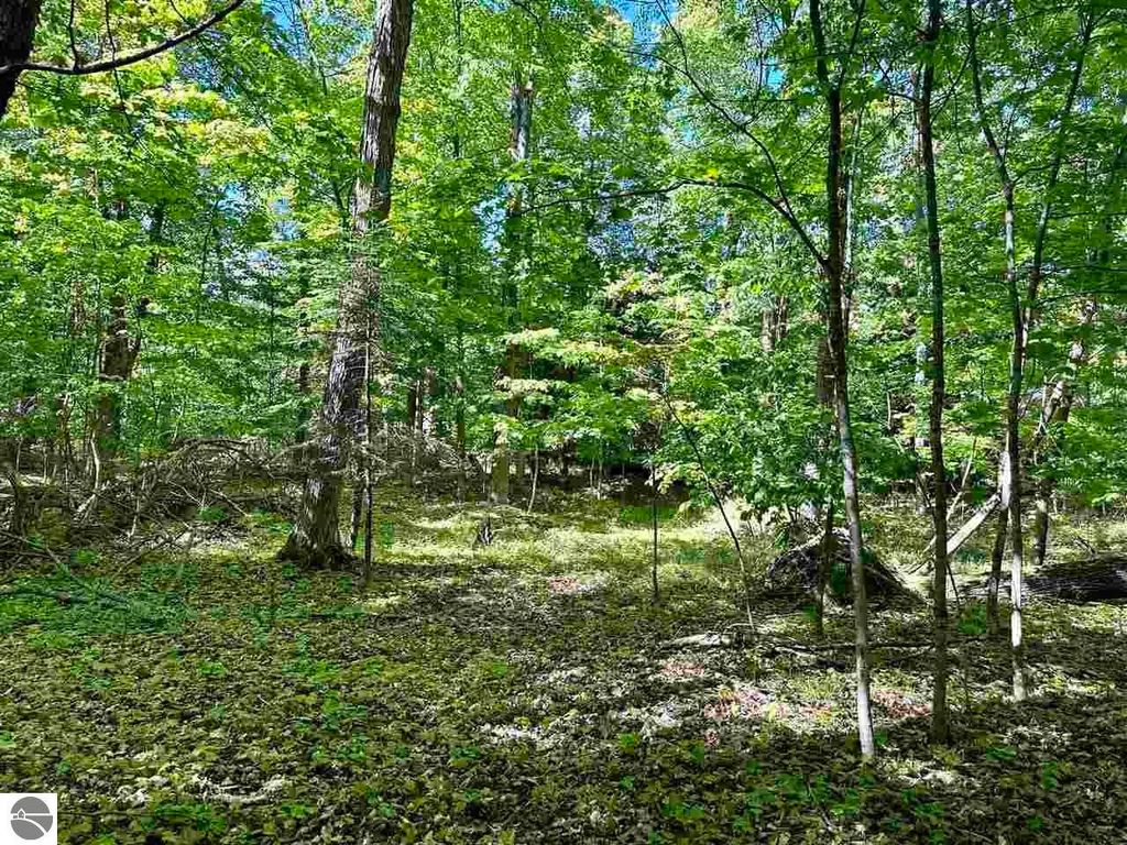 Photo of 5657 Spaulding Drive, Beaver Island, MI 49782 (MLS # 1930434)