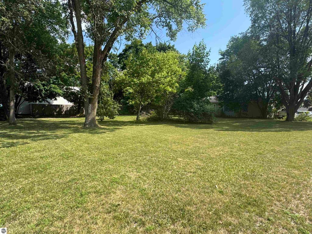 Photo of 222 N Main Street, Lake City, MI 49651 (MLS # 1937553)