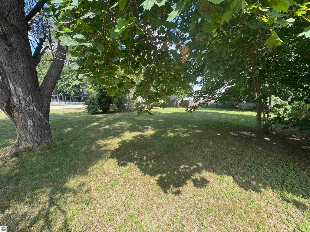 Photo of 222 N Main Street, Lake City, MI 49651 (MLS # 1937553)