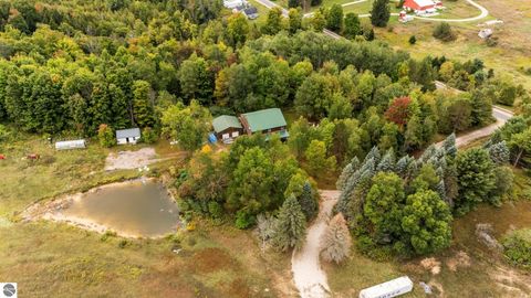Tiny photo for 3714 N 19 Road, Mesick, MI 49668 (MLS # 1939413)