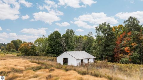 Tiny photo for 3714 N 19 Road, Mesick, MI 49668 (MLS # 1939413)