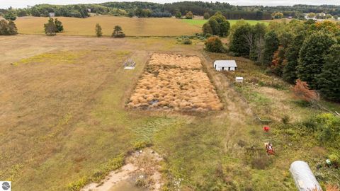 Tiny photo for 3714 N 19 Road, Mesick, MI 49668 (MLS # 1939413)