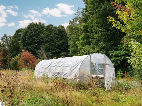 Tiny photo for 3714 N 19 Road, Mesick, MI 49668 (MLS # 1939413)