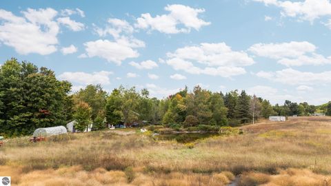 Tiny photo for 3714 N 19 Road, Mesick, MI 49668 (MLS # 1939413)