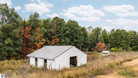 Tiny photo for 3714 N 19 Road, Mesick, MI 49668 (MLS # 1939413)