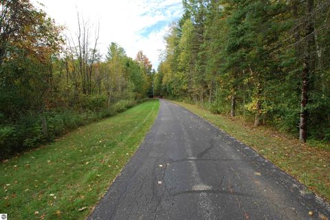 Tiny photo for 4262 S M-76, West Branch, MI 48661 (MLS # 1939380)