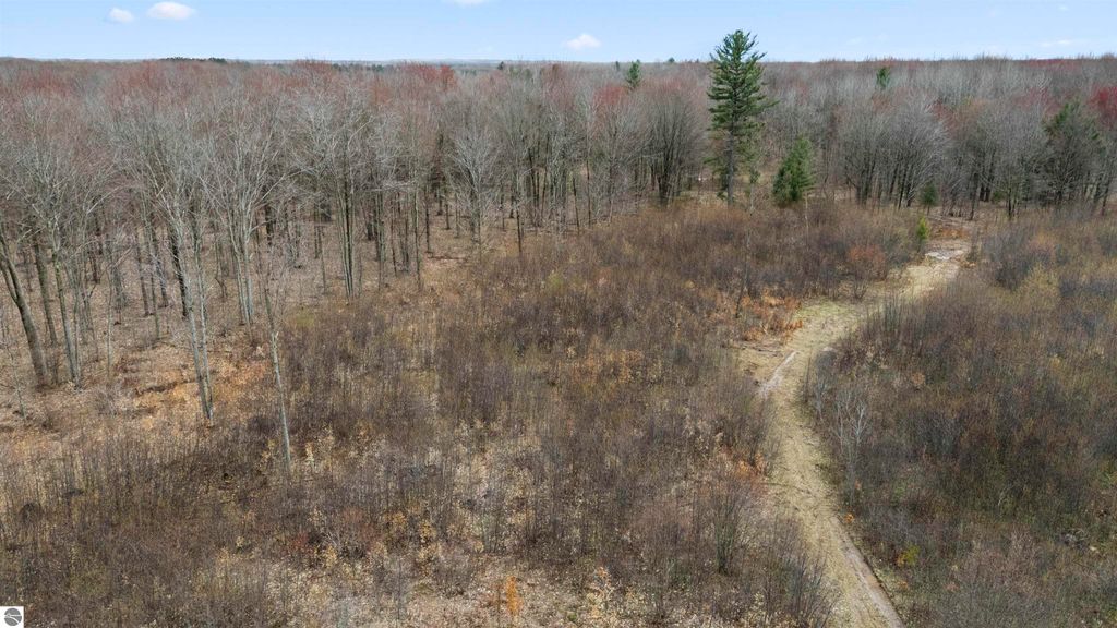 Photo of Parcel B E 32 Road, Cadillac, MI 49601 (MLS # 1933352)