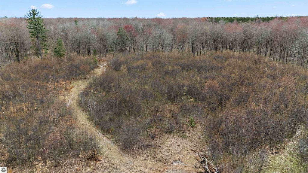 Photo of Parcel B E 32 Road, Cadillac, MI 49601 (MLS # 1933352)