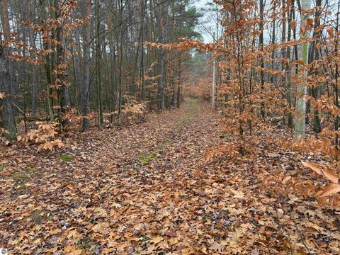 Tiny photo for 9544 W 34 Road, Harrietta, MI 49638 (MLS # 1940814)