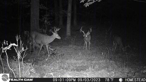 Tiny photo for 10308 Homestead Road, Beulah, MI 49617 (MLS # 1940670)