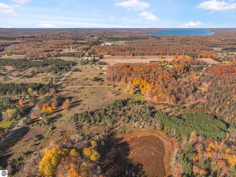 Tiny photo for 10308 Homestead Road, Beulah, MI 49617 (MLS # 1940670)