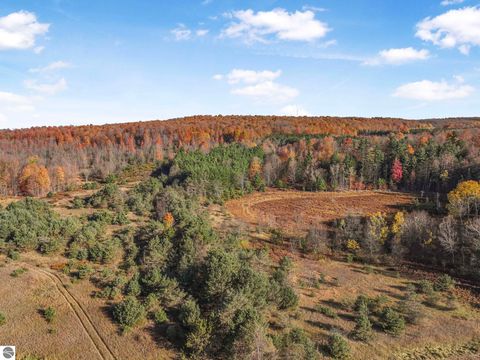 Tiny photo for 10308 Homestead Road, Beulah, MI 49617 (MLS # 1940670)