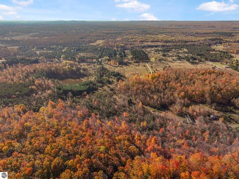 Tiny photo for 10308 Homestead Road, Beulah, MI 49617 (MLS # 1940670)