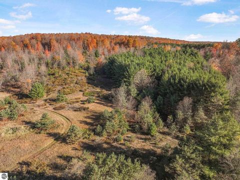 Tiny photo for 10308 Homestead Road, Beulah, MI 49617 (MLS # 1940670)