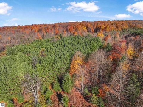 Tiny photo for 10308 Homestead Road, Beulah, MI 49617 (MLS # 1940670)