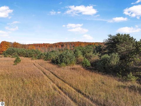 Tiny photo for 10308 Homestead Road, Beulah, MI 49617 (MLS # 1940670)