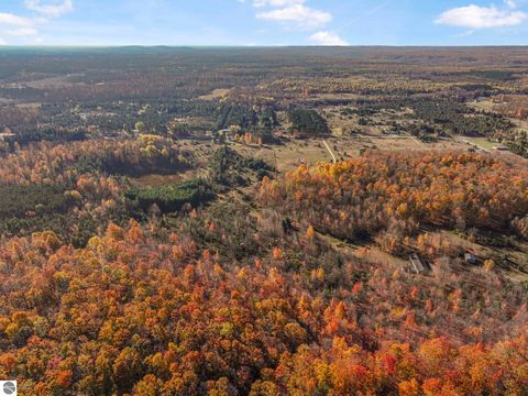 Tiny photo for 10308 Homestead Road, Beulah, MI 49617 (MLS # 1940670)