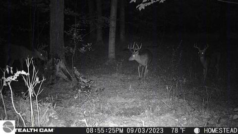 Tiny photo for 10308 Homestead Road, Beulah, MI 49617 (MLS # 1940670)