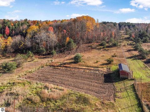 Tiny photo for 10308 Homestead Road, Beulah, MI 49617 (MLS # 1940670)
