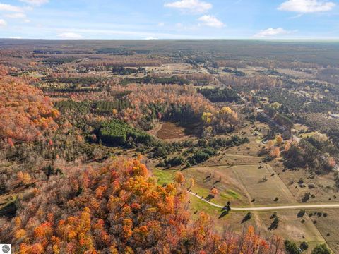 Tiny photo for 10308 Homestead Road, Beulah, MI 49617 (MLS # 1940670)