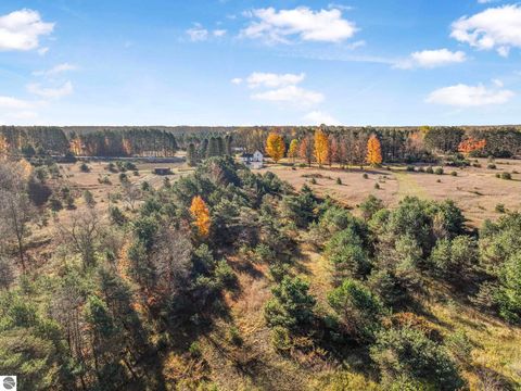 Tiny photo for 10308 Homestead Road, Beulah, MI 49617 (MLS # 1940670)