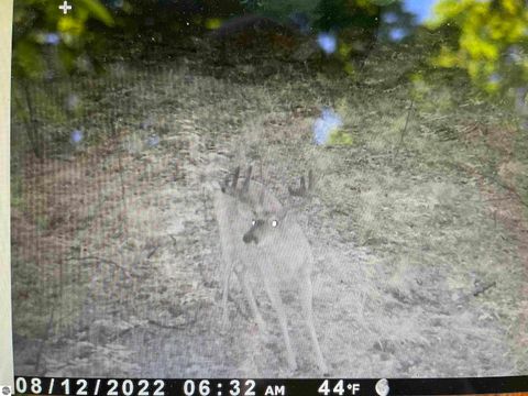 Tiny photo for 10308 Homestead Road, Beulah, MI 49617 (MLS # 1940670)