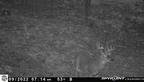 Tiny photo for 10308 Homestead Road, Beulah, MI 49617 (MLS # 1940670)