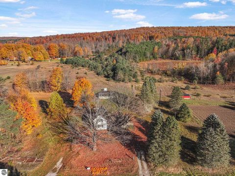 Photo of 10308 Homestead Road, Beulah, MI 49617 (MLS # 1940670)