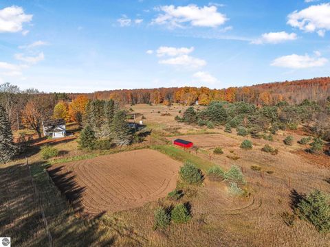 Tiny photo for 10308 Homestead Road, Beulah, MI 49617 (MLS # 1940670)