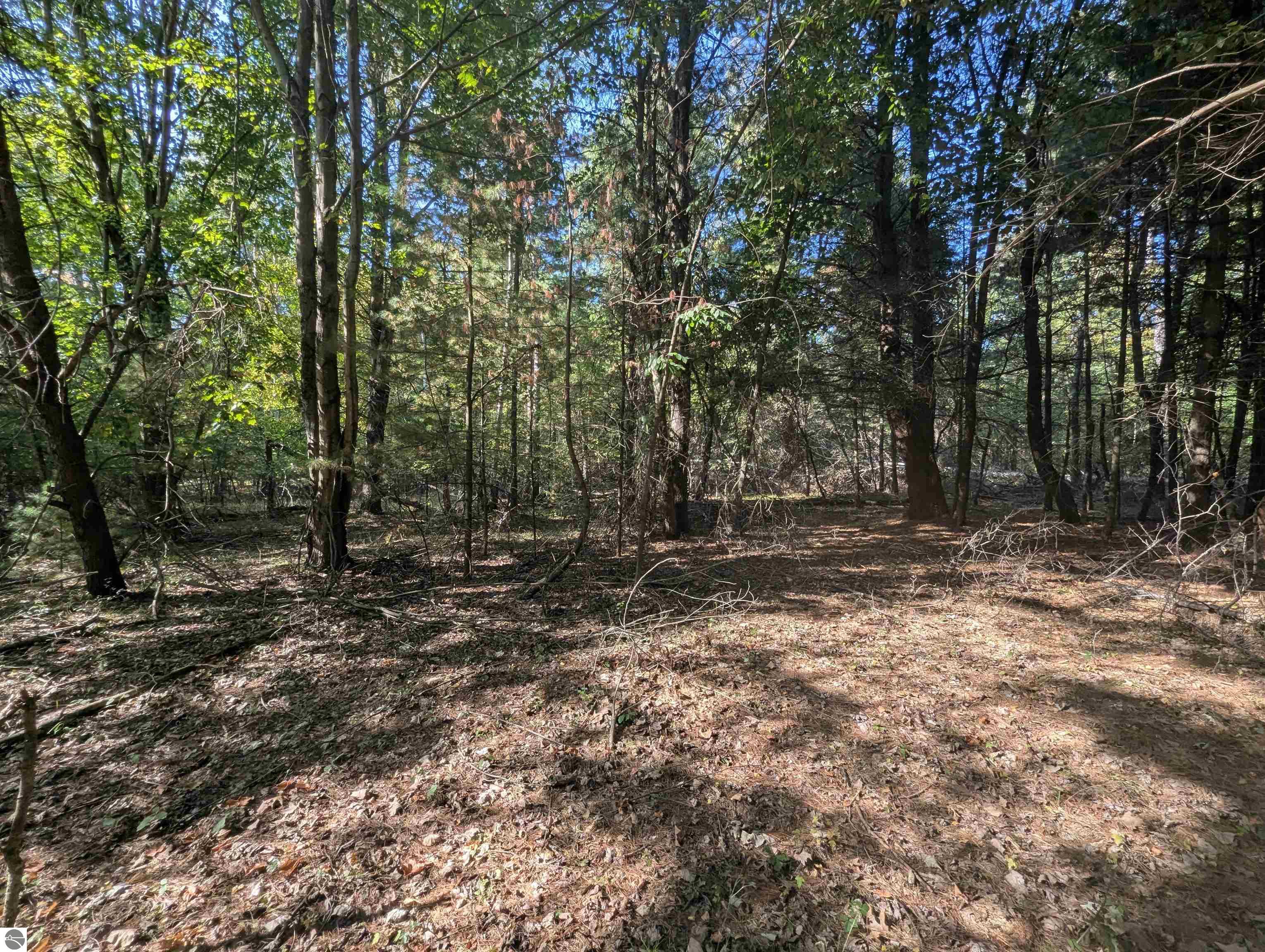 Photo 1 of 7 — N/A N Forest Lake Drive, Alger, MI 48610