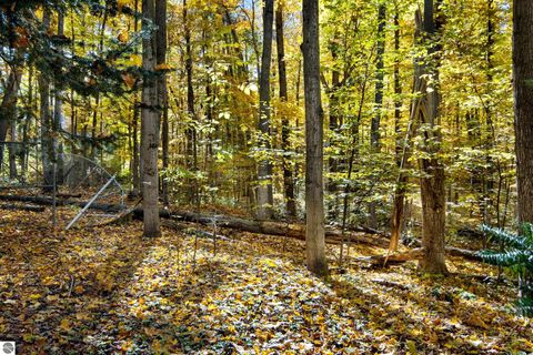 Tiny photo for 10371 Deerpath North, Traverse City, MI 49685 (MLS # 1940100)