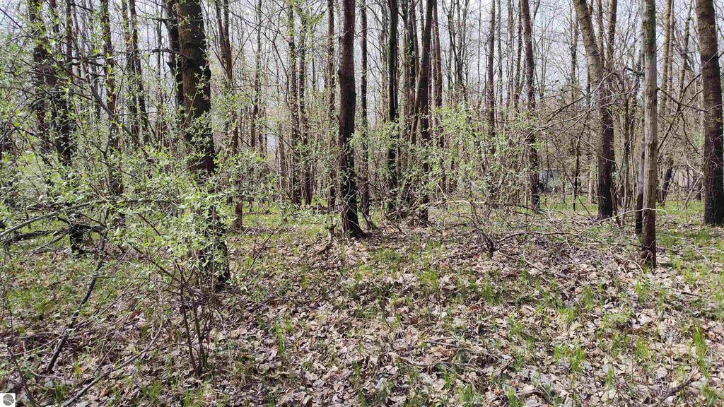 Photo of 1150 Queensway Drive #460, Lake Isabella, MI 48893 (MLS # 1921711)