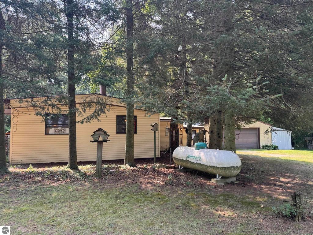 Photo of 6350 E Cadillac Road, Falmouth, MI 49632 (MLS # 1937254)