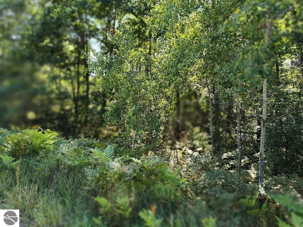 Photo of N Circle E #8, Farwell, MI 48622 (MLS # 1939941)