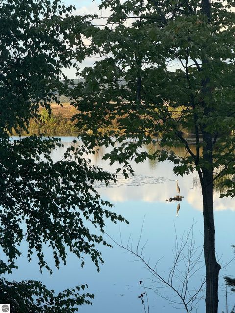 Tiny photo for 211 N Beech Street, Bellaire, MI 49615 (MLS # 1940817)