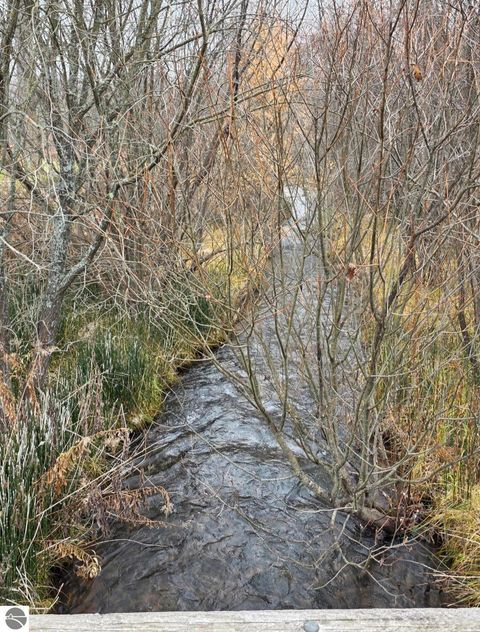 Tiny photo for 4132 Main St, Kingsley, MI 49649 (MLS # 1940686)