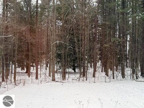 Tiny photo for 207 N Plank Road, Tawas City, MI 48763 (MLS # 1941167)