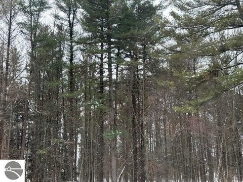 Tiny photo for 207 N Plank Road, Tawas City, MI 48763 (MLS # 1941167)