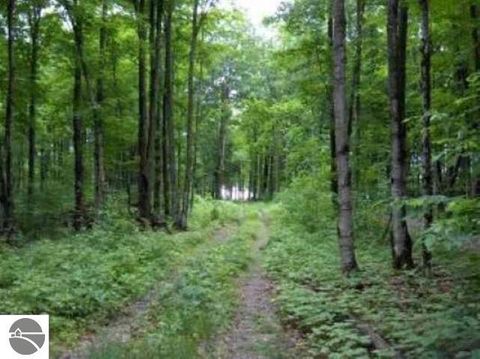 Tiny photo for 0 Cunningham Road, Kalkaska, MI 49646 (MLS # 1932227)