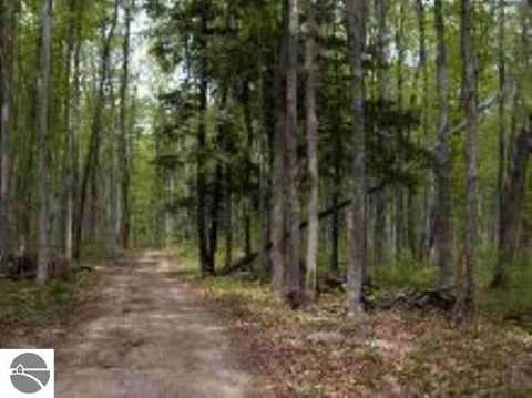 Tiny photo for 0 Cunningham Road, Kalkaska, MI 49646 (MLS # 1932227)